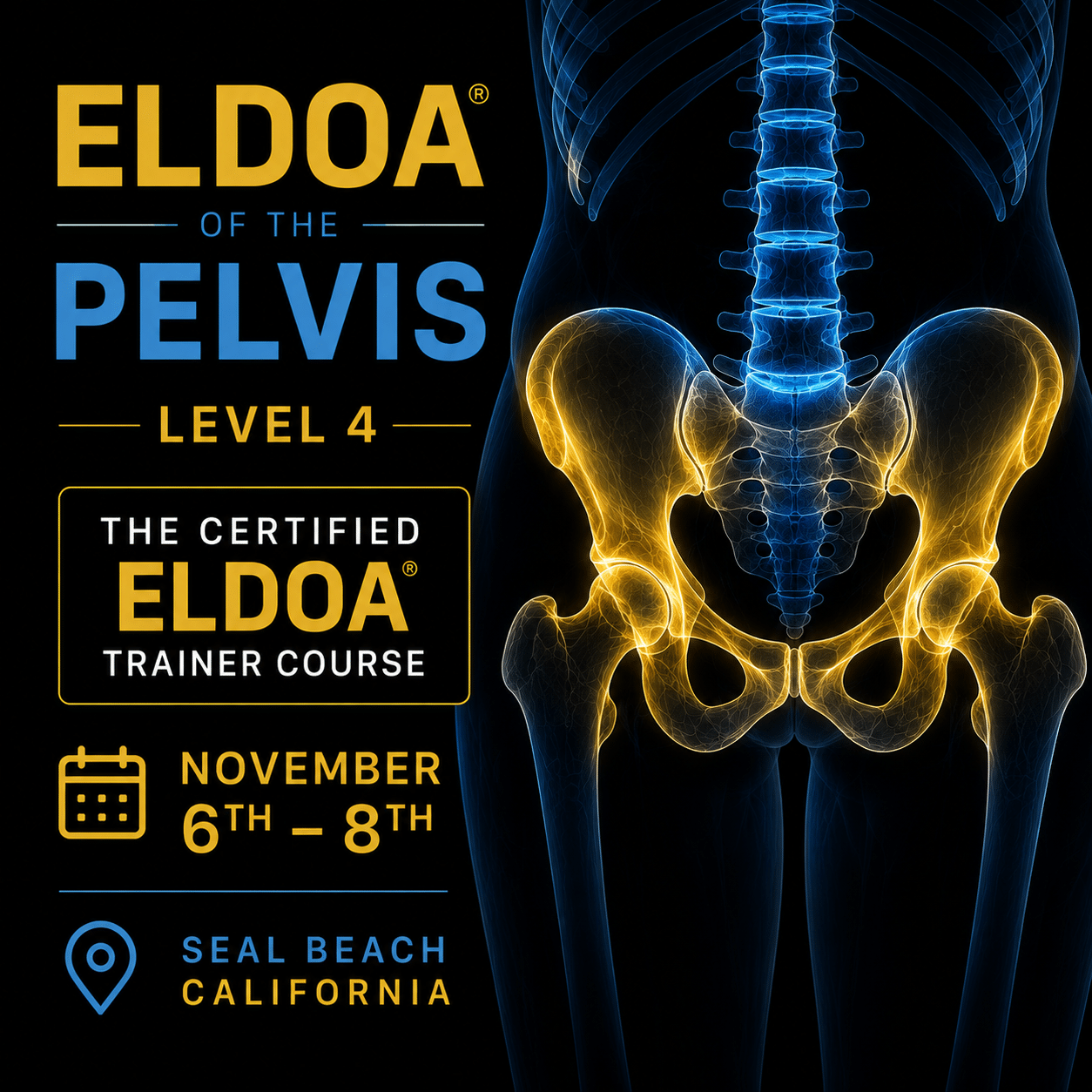 ELDOA USA business photo